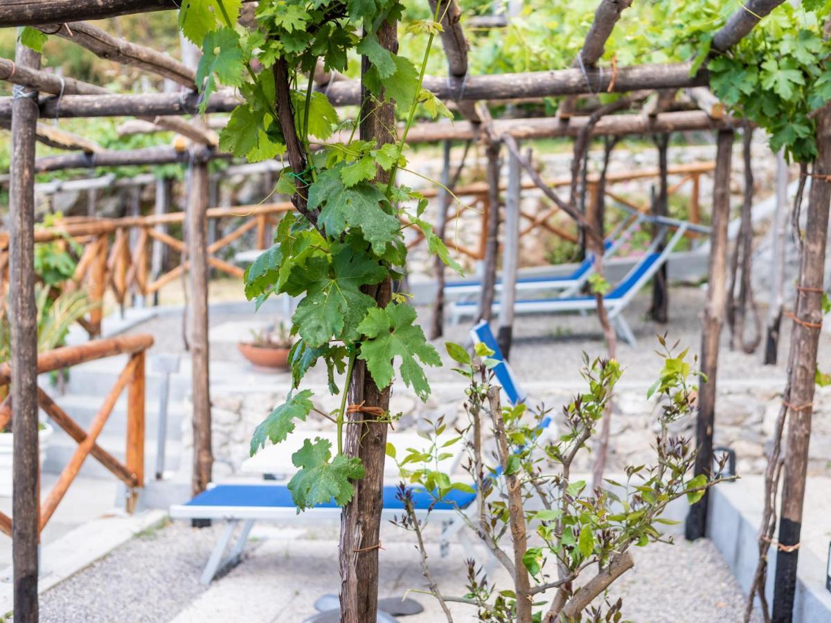Hotel Diffuso Bacco Furore